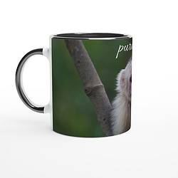 fde74ce1-5b40-4e16-813c-913b14b5484f