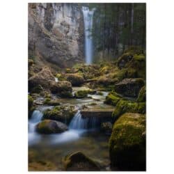 3f2c504a-2b3f-463c-a515-6b1863a63761