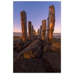 48488e08-45ff-4555-a918-4eb212e318dc