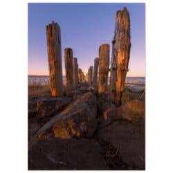 53410d0a-f2d7-463a-afa5-90edd8adb04f