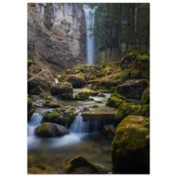 541a06ea-de74-4e0d-b097-5f5963e41cb1