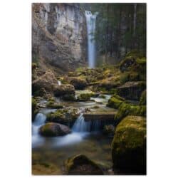 97d8bbbf-7e4b-4c2e-a4d6-e1125cab86e5