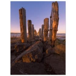 a67e5b1a-dae8-4c3e-8c26-f54d23e7a9e4