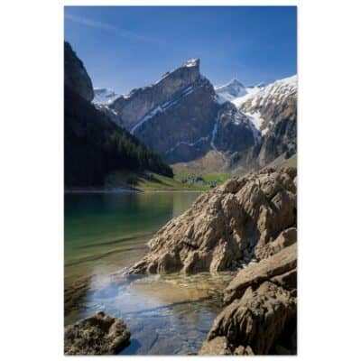 c4427a67-b294-4a29-b56c-066dc4faed71