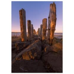 e11ca3f1-4746-43b3-972d-5dce8acb7243