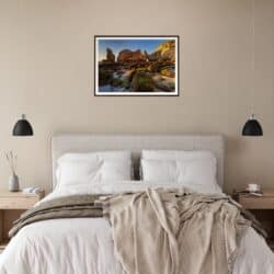 0058eb55-2e0c-4bc9-a798-e54239bc1bc1