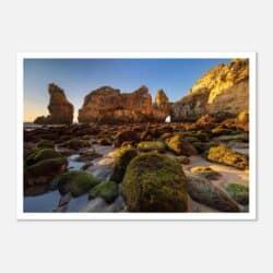 01d3d1ef-5322-4b64-a8e5-5be6c2f91e18