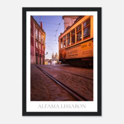 024a4359-6142-423e-8880-e4698a9aa999