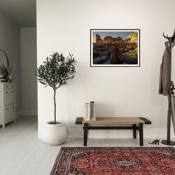 030f4e6c-4e59-423a-a4e6-61c7a03341df