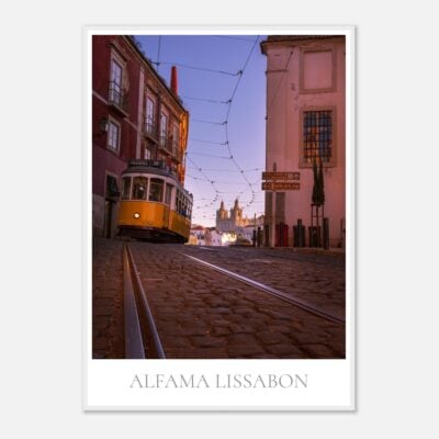 03a0a395-5a75-4ad2-a185-5df8f5d5e453