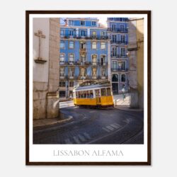 03bd27fd-50cc-4e5f-9f95-5f63664f176e