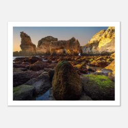 0432fafb-0533-456d-9acc-737ce3b69cfa