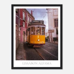 05657d32-0cdb-4f5b-97eb-53d4004e86e5