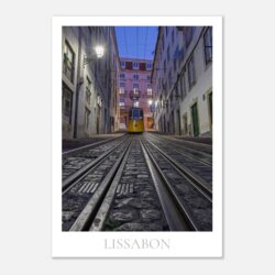 05c92543-4cd2-4992-9760-38c355921326