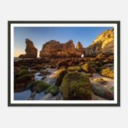 06959cde-87a3-4853-ab75-af65e76a8595