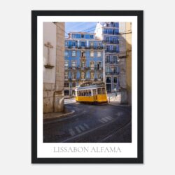 07071445-7397-4060-b6b0-a6b4912be1bd