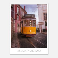 07ec643c-068e-48c9-b084-b6804528a621