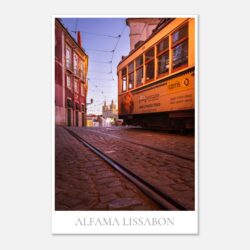 08a3fd44-3d60-4030-ac9a-e746d03efafb