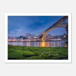 08f97f7c-1332-4e69-bd9e-dbf833507071