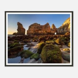 0927ce93-396f-46aa-b239-ad3879c45ec3