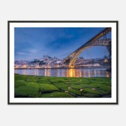 0baa17af-5903-4f0e-abfa-c8a9e0c7fc27