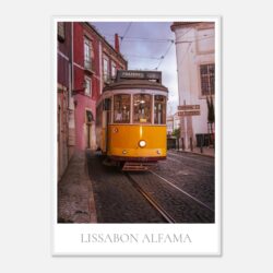 0c338ff0-6807-4a1e-803f-4ce45c8b2358