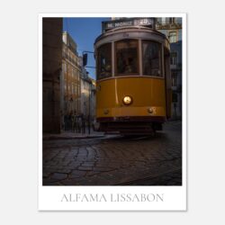 0cd0faf5-c51f-42e6-99cf-68bc8ac789e5