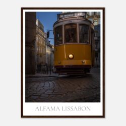 0d12e39d-c9a1-43d4-b755-52e7a95adf02