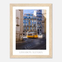 103bdcbe-a15f-43ab-9a6e-c87dc360a93f