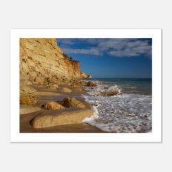 117ecfb8-91dc-4dec-a2b6-b37a0ac6de32