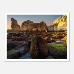 1310982d-9a6f-4333-9aa9-3a16bc6bb48b