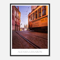 139493b3-b5dc-4ff1-8d9d-32f798c5d829