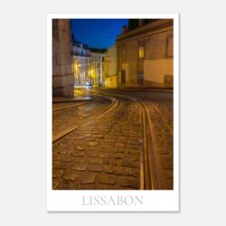 13a3bac8-95d6-4c52-8972-0d0e0be1e31d