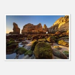 16eae15a-19db-4ab3-961c-68884bb8d329