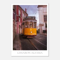 1700880f-4775-4ae0-b35e-d80a1d9bfb3f