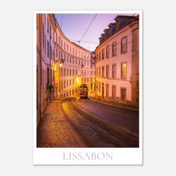 172bff8c-bd8b-4e5d-9821-6c1a9babb1ae