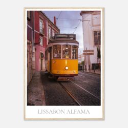 17df5aa2-49b6-4403-bfb5-fde2b550aeb9