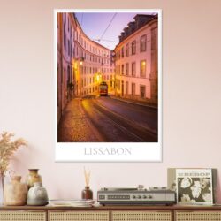 1bce85a4-7045-4876-92c4-4db585674520