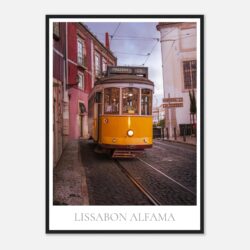 1bdc4852-e6e7-4a84-bd0f-1642fb72a1a3