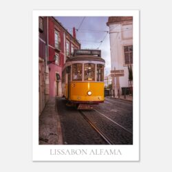 1c0605d5-6e64-419b-97b2-276ae0014098