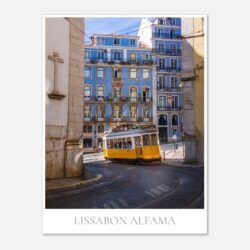 1cdf8896-d2cb-4649-981b-b994a5649526