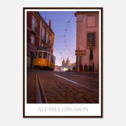 1ff6aa30-f3ab-43c0-b88a-e859808d35d3