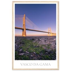 2036d33e-1717-424c-8b34-cee3c12bc307