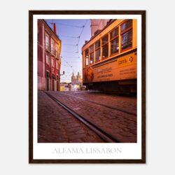 2053db3b-ea60-49bb-9fbb-35c536e3319e