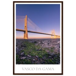 20686d35-1f45-4a2c-85a9-7b1baabcfc6f