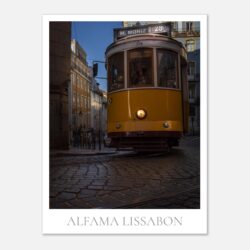 20c6355e-3db9-4bac-80a2-9779dc7c0740