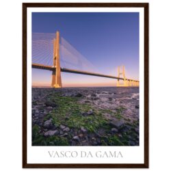 255aa4a2-11cf-47c6-8053-3afc40ba4d0c