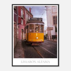 25675a65-2cd6-497a-a188-83d6034151f9