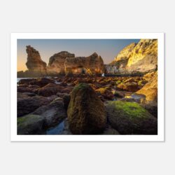 25ed4948-c771-45e3-b4ae-1466f065499f