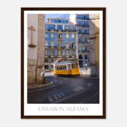 2623c8eb-a908-481d-a490-188aa5ca6895